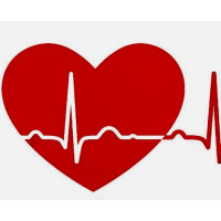 ตรวจลิ้นหัวใจรั่ว/ตีบ/ด้วยเครื่อง Echocardiogram